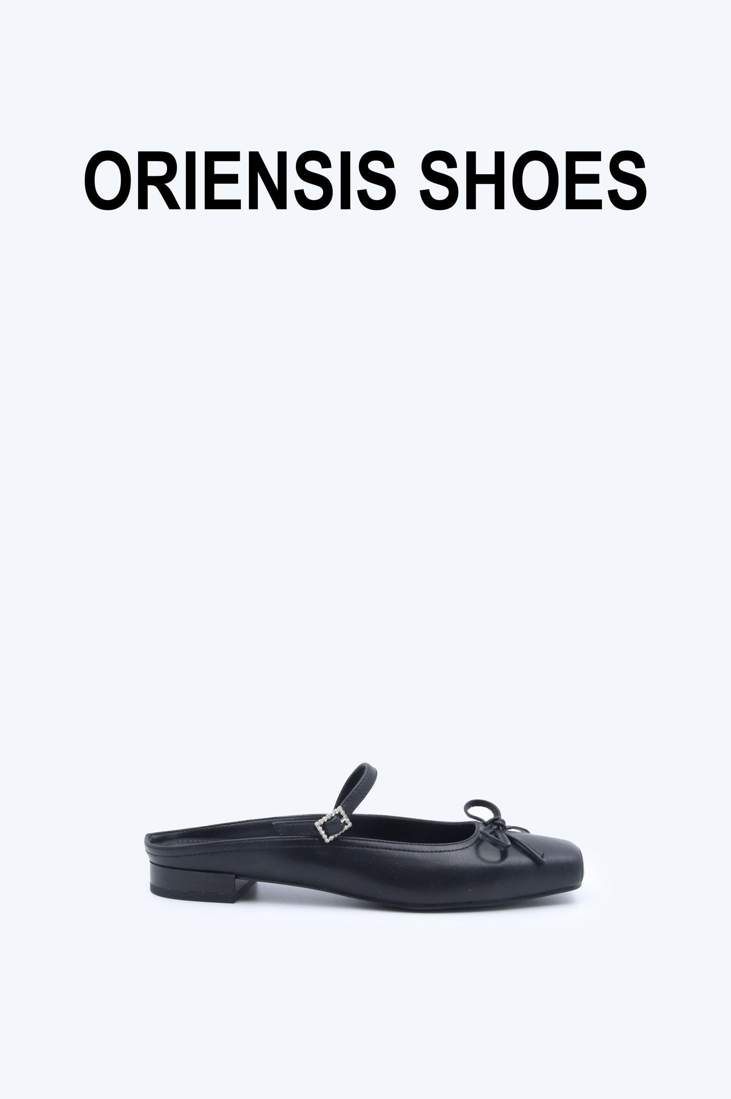Black Chic Ballet Flat